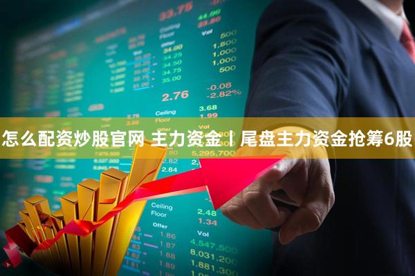怎么配资炒股官网 主力资金丨尾盘主力资金抢筹6股