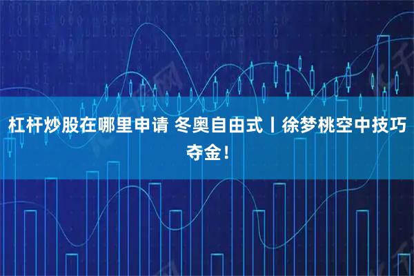 杠杆炒股在哪里申请 冬奥自由式丨徐梦桃空中技巧夺金！